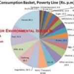 environmental issues in India