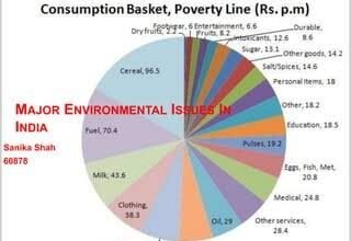 environmental issues in India