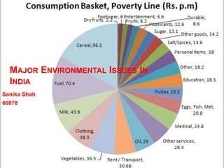 environmental issues in India